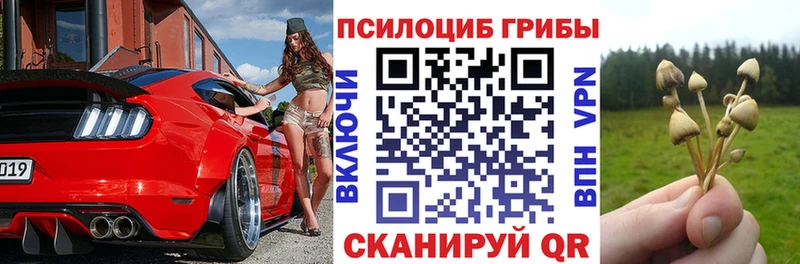 Псилоцибиновые грибы мицелий Купить закладки Алексеевка