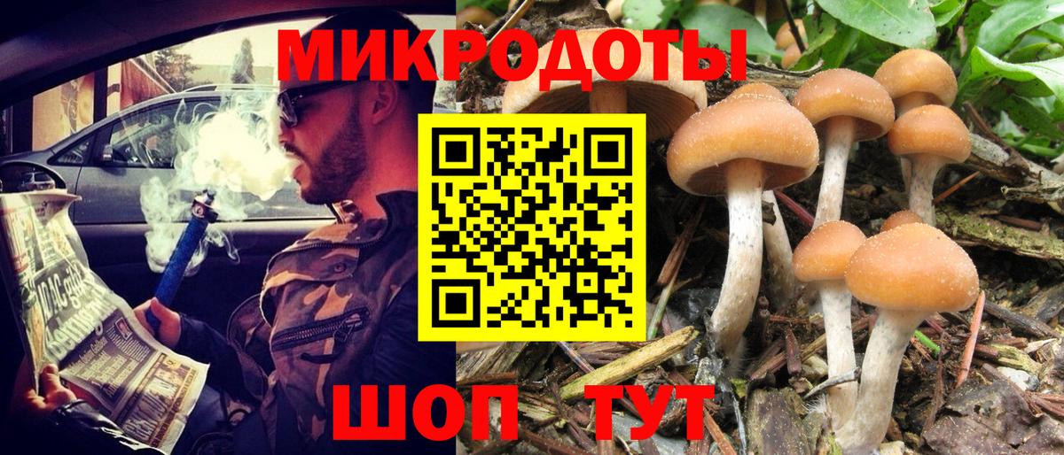 Псилоцибиновые грибы Psilocybine cubensis Алексеевка