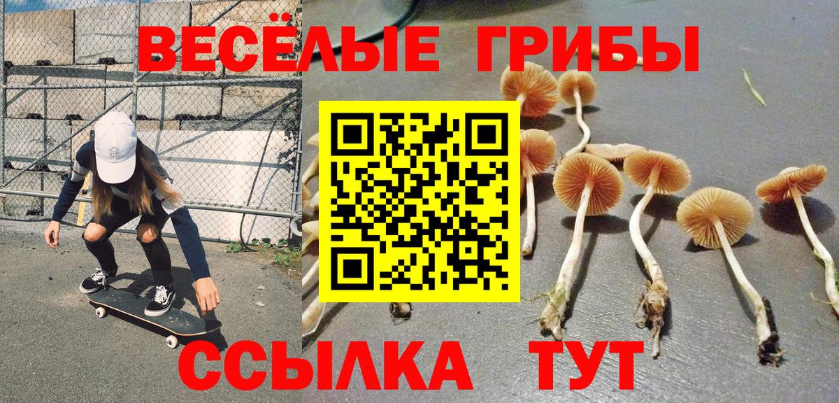 Псилоцибиновые грибы GOLDEN TEACHER  Вход с VPN  цены   Алексеевка 