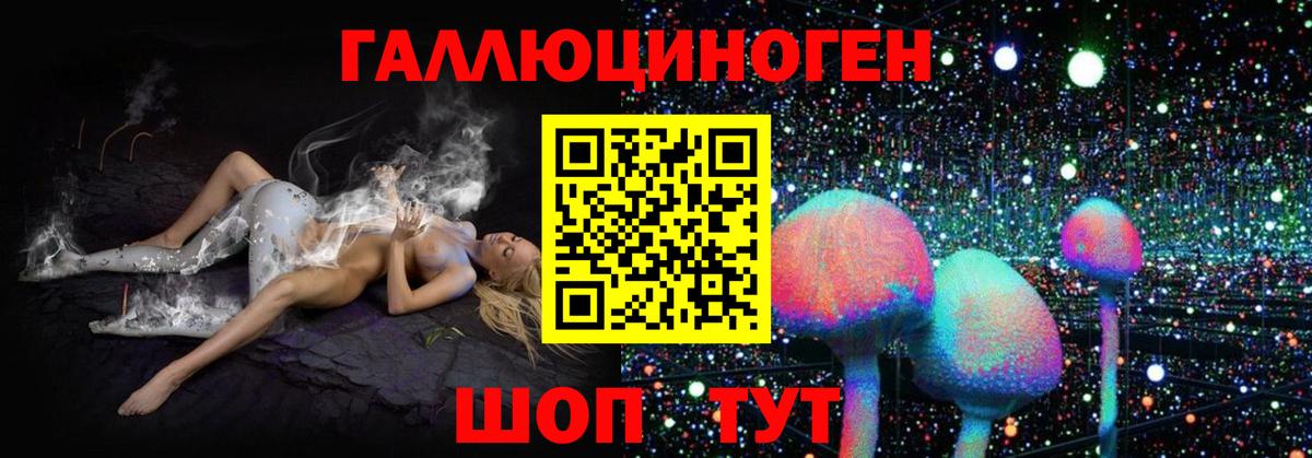 Галлюциногенные грибы Psilocybe  Алексеевка  закладки  Галлюциногенные грибы мухоморы 