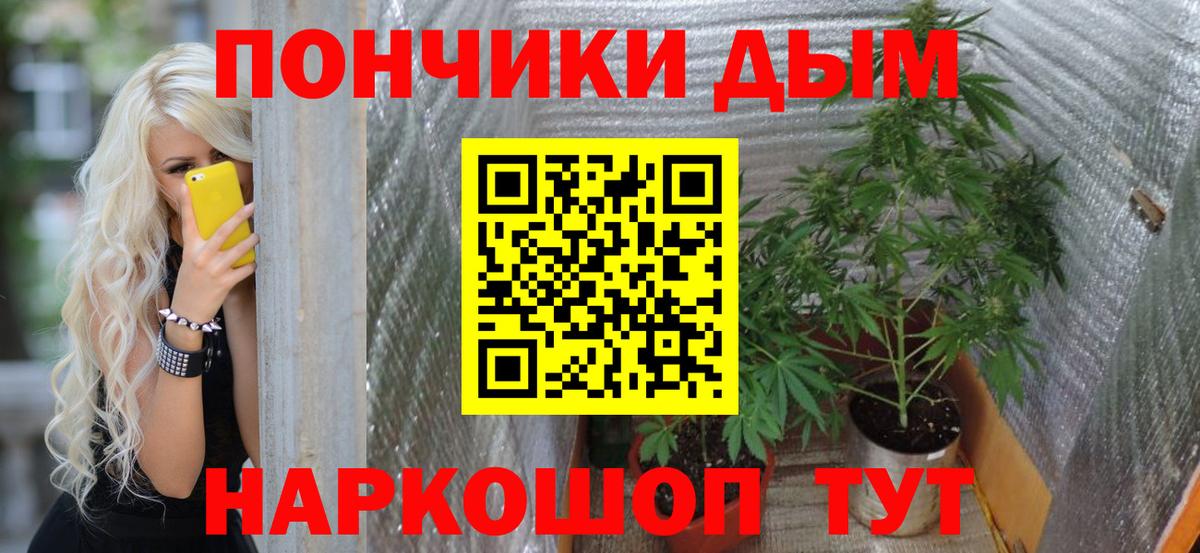 Конопля гибрид  Бошки Шишки семена  Конопля сатива  Каннабис THC 21%  Алексеевка 